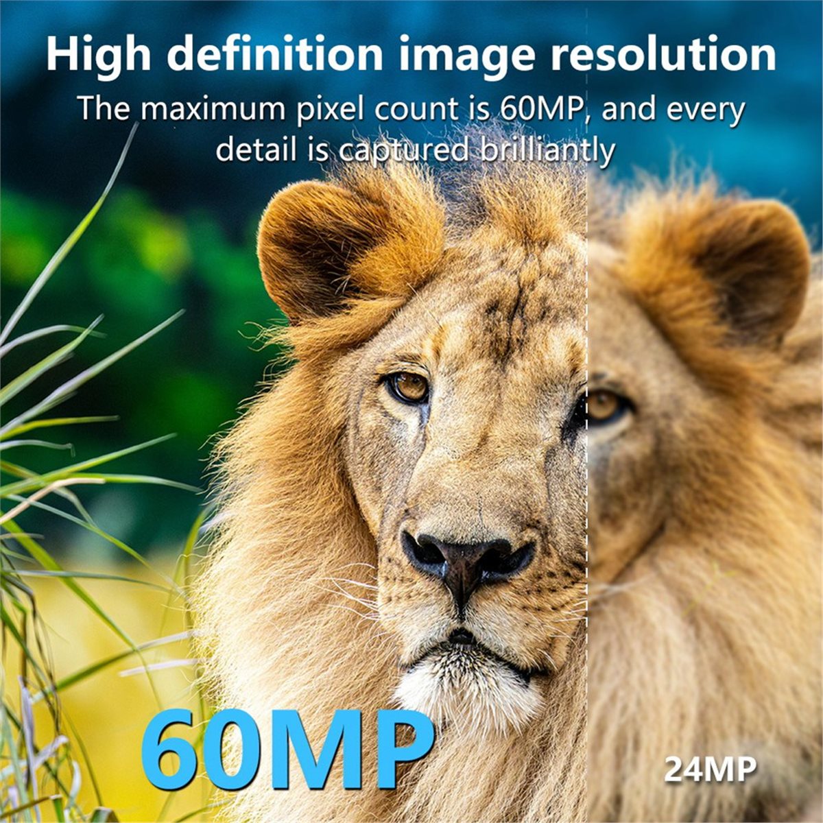 AS62 8K Hunting Camera HD Wild - Hunting Outdoor Rug recensie en prijs