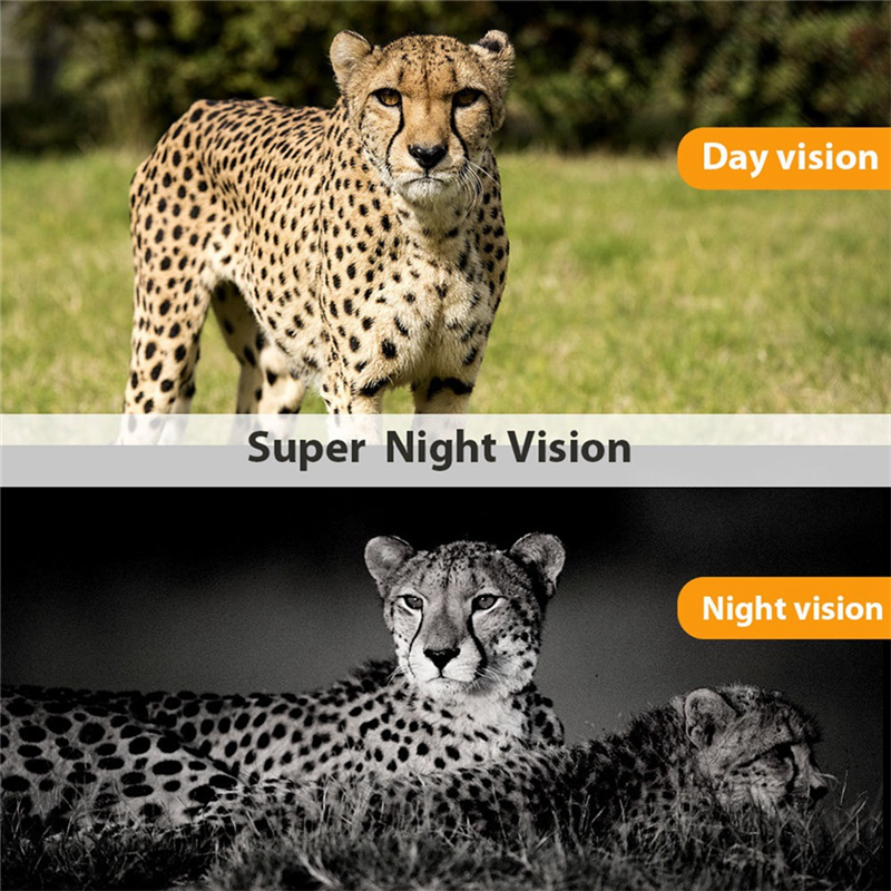 NEW-Wildlife Hunting Camera HC - Outdoor Hunting Camera Wireless recensie en prijs