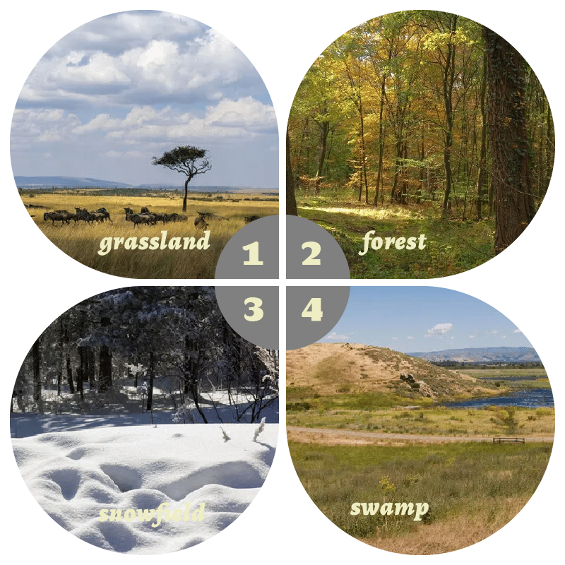 Camouflage Pop-Up Hunting Blin - Hunting Outdoors recensie en prijs