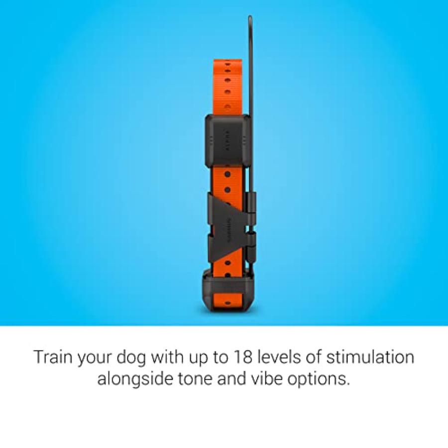 Alpha TT 25 GPS Dog Tracking a - Hunting Outdoor Rug recensie en prijs