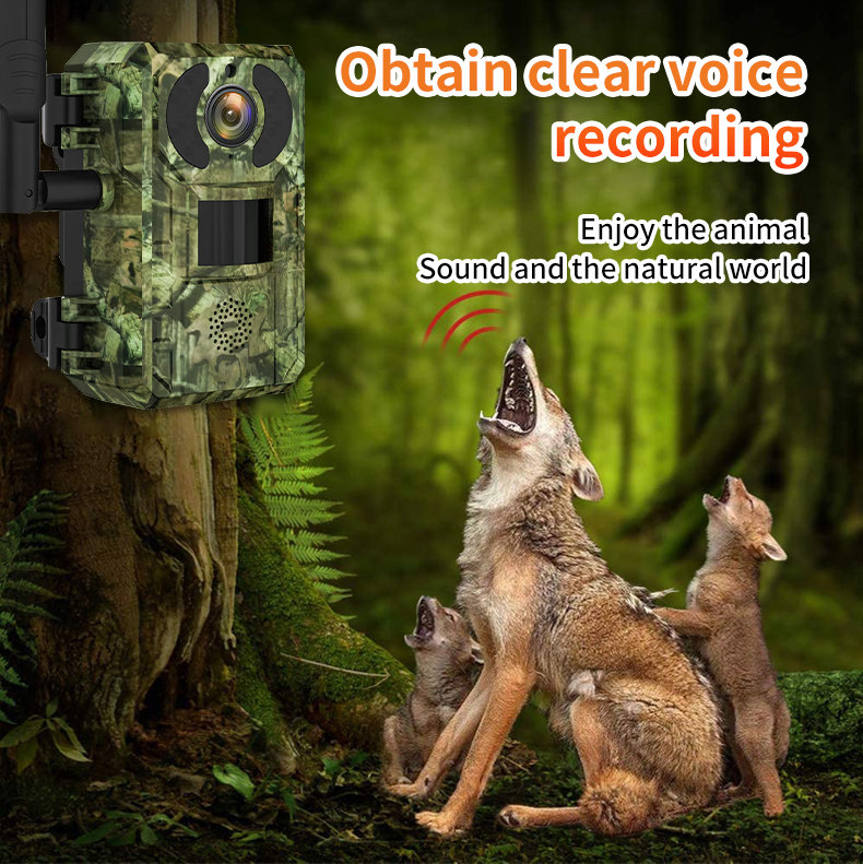 H10 4G Hunting Trail   With So - Outdoor Hunting Camera Wireless recensie en prijs