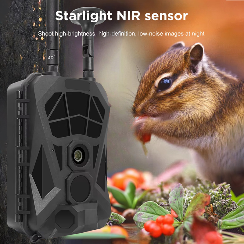 Trail Camera 4G GPS Wireless I - Outdoor Hunting Camera Wireless recensie en prijs