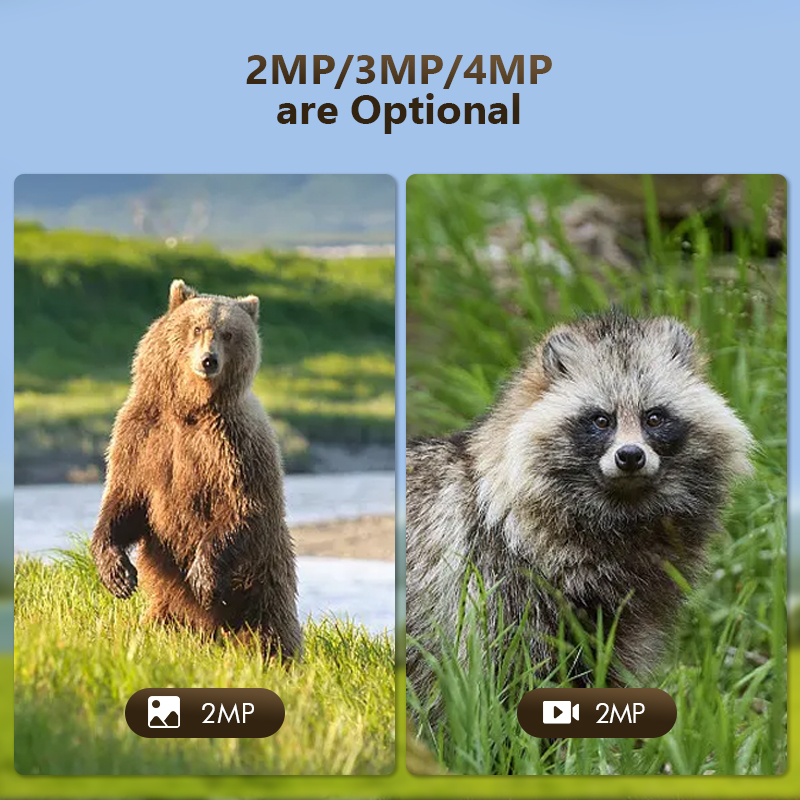 4G 4MP Outdoor Wildlife Huntin - Outdoor Hunting Camera Wireless recensie en prijs