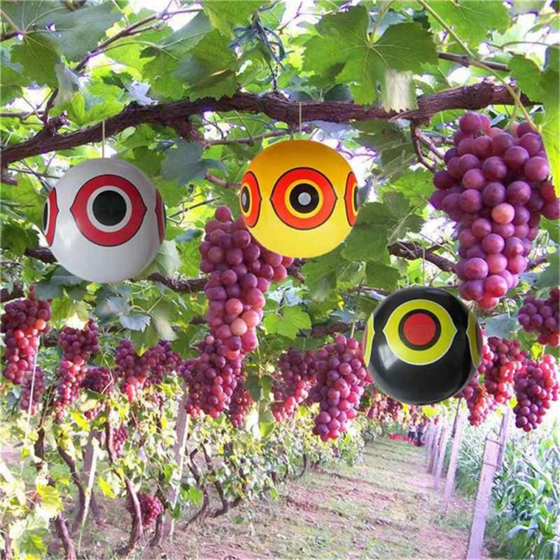 3pcs Anti Bird Repellent Ballo - Outdoor Hunting Events recensie en prijs