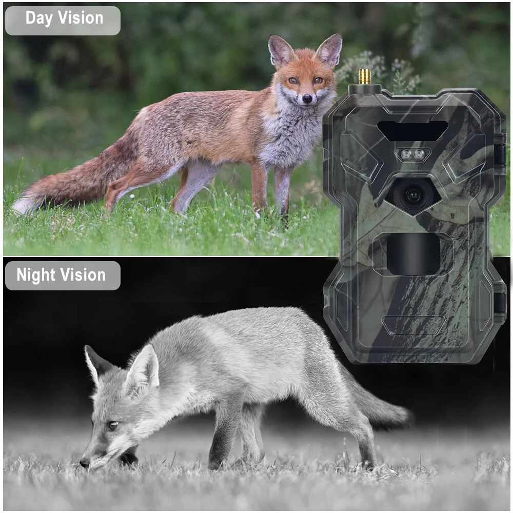 HC-880Pro Outdoor 4G 30MP HD 2 - Outdoor Hunting Camera Wireless recensie en prijs
