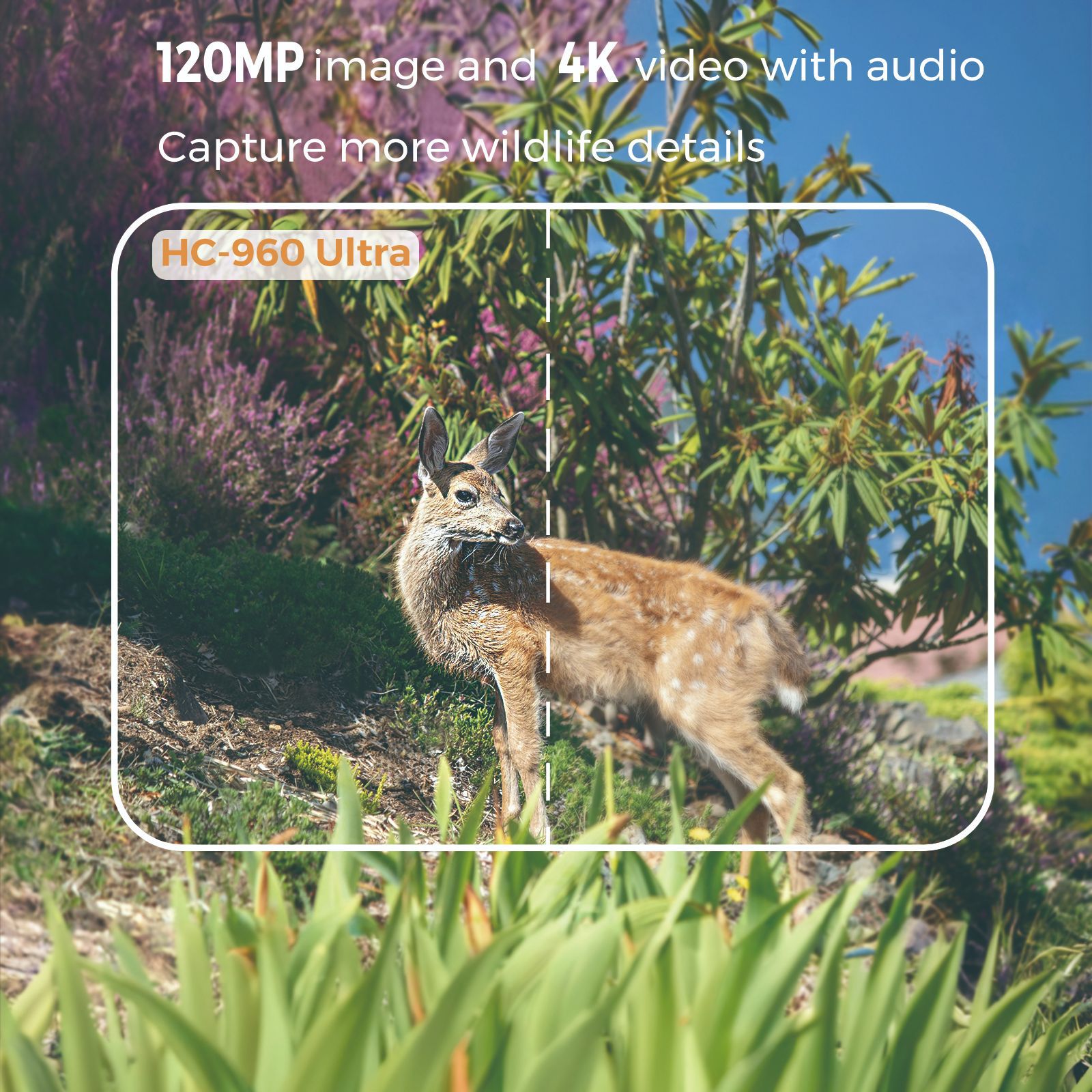 4G outdoor wildlife infrared c - Hunting Outdoor Camera recensie en prijs