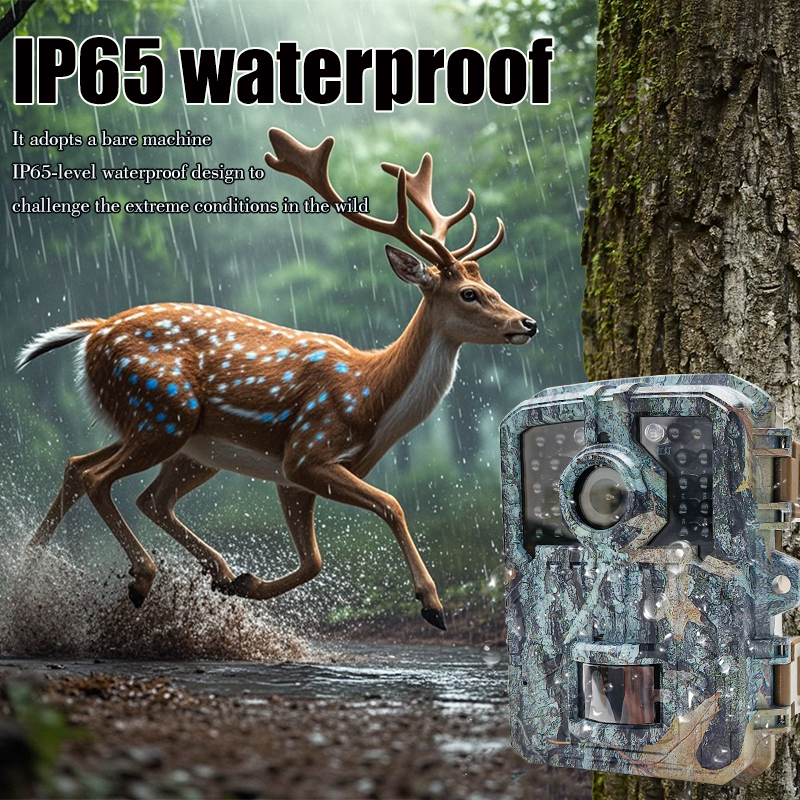 Hunting Trail Camera 16MP 1080 - Hunting Outdoor Camera recensie en prijs